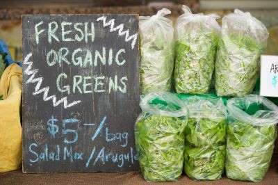 Polyethylene Bags Keeping Produce Fresh